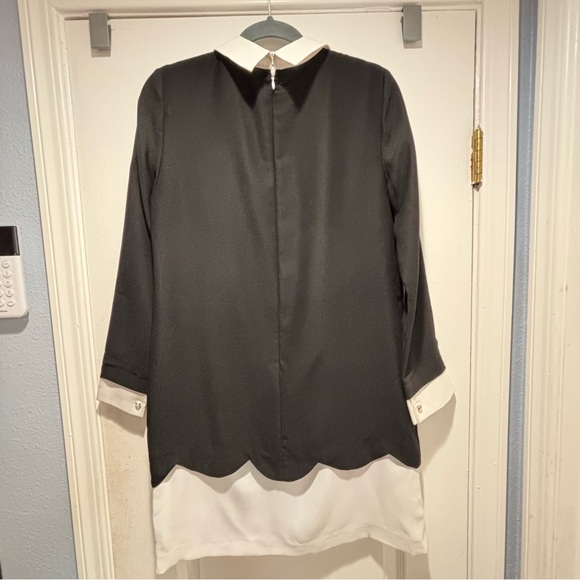 CeCe | Jada Scalloped Overlay Collared Shift Dress | Black White | size 8 - Picture 4 of 16